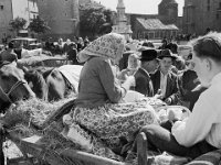 Kaptol 1950.-ih  godina.jpg